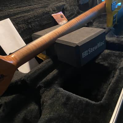 2019 Ernie Ball Music Man Bongo HD Yellow image 4