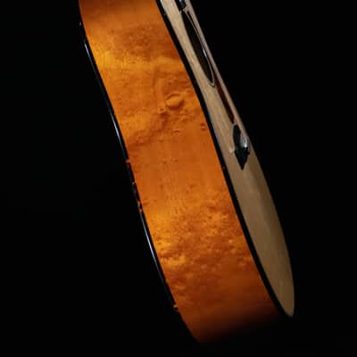 Eastman E16SS-TC-LTD, Thermo-Cured Bearclaw Adirondack, Birdseye Maple, Limited image 11