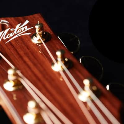 Maton EBG808C Nashville Cutaway All Solid Wood Sitka Spruce Blackwood AP5 Pro Pickup image 3