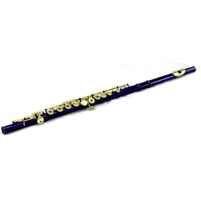 PAITITI Purple Plated Gold Key Open Hole C Flute, with Lightweight Case, Cover and More image 2