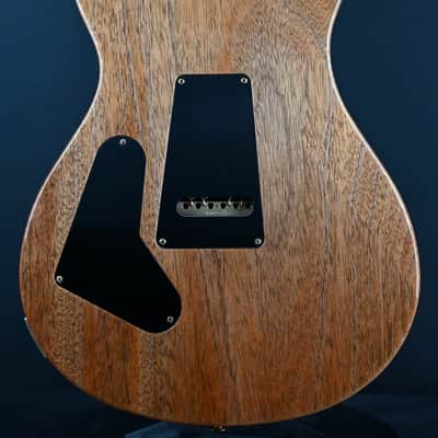 PRS Limited Edition Custom 24 10-Top Arctic Blue #211 image 18