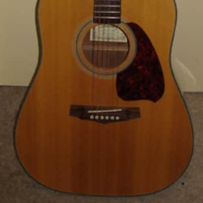 Ibanez PF5-NT-14-02 Acoustic Dreadnought Guitar Bild 1