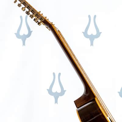 Daion THE '80W Doubleneck (6/12 String) Acoustic Early 1980s - Serial 103369 image 10