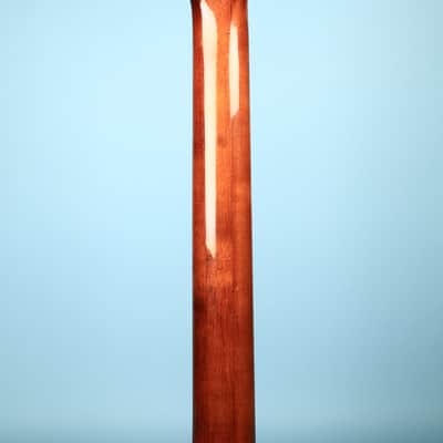 Electra MPC X960 Set Neck Walnut Stain Ash Body Electric Guitar image 5