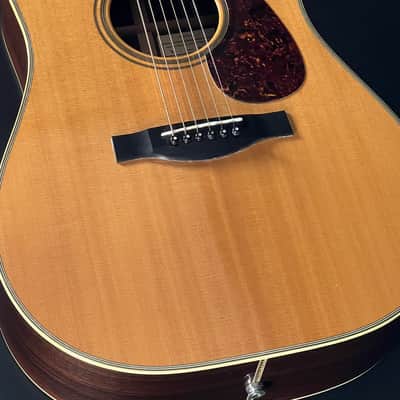 Santa Cruz Dreadnought - Gloss image 9