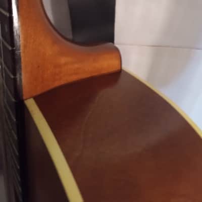 Seagull Entourage Dreadnought 2018 - Autumn Burst image 7