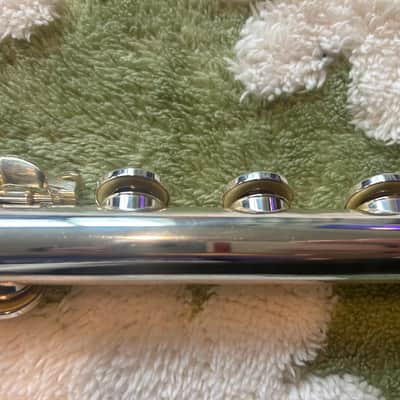 Solexa 201 Flute – Full Setup w/ Hard Case, Travel Case, Cleaning Kit + Plugs image 9