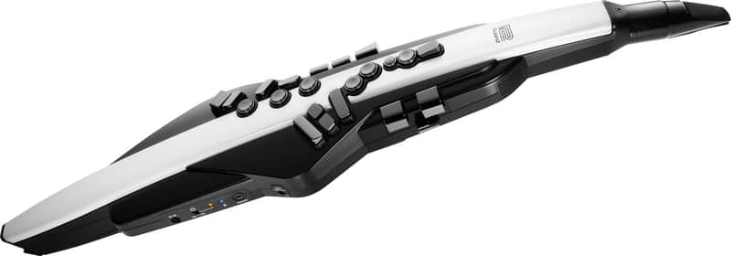 Roland AE-20 Aerophone image 1
