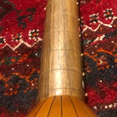 Lars Torressen Colascione Bass Lute 2020 image 8