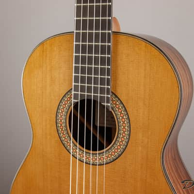 1995 Blanchard Classical, Indian Rosewood/Cedar image 9