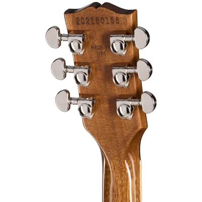 Gibson Les Paul Standard 60s DT image 5