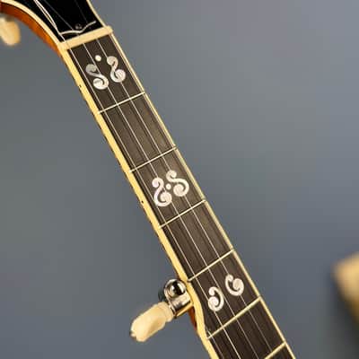 Deering Calico 5-String Banjo Demo image 12