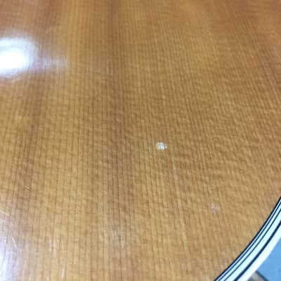 Paul Berger Martin D Brazilian Rosewood Mid 70's image 5