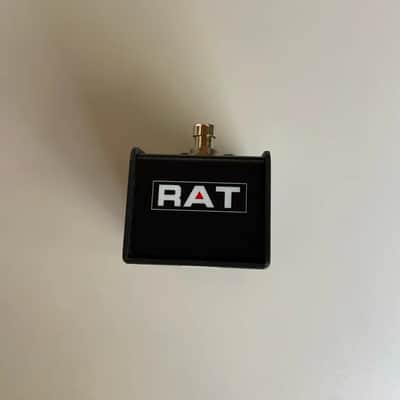 ProCo Lil Rat image 6