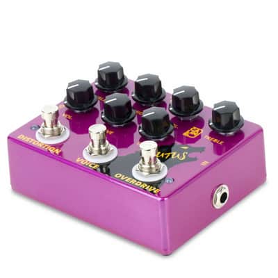 Caline DCP-02 Brutus Distortion image 3