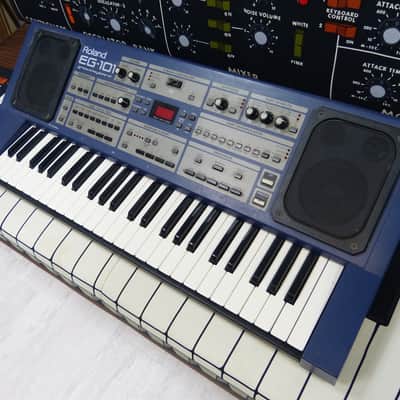 Roland EG-101 just serviced image 3