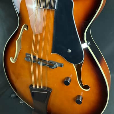 Gold Tone Mandocello 8-String Acoustic-Electric Vintage Sunburst w/ Hardshell Case image 7