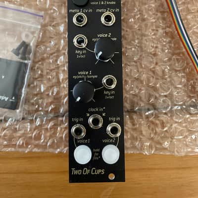 Endorphin.es Two of Cups Eurorack Synth Module 2021 - Present - Black image 2
