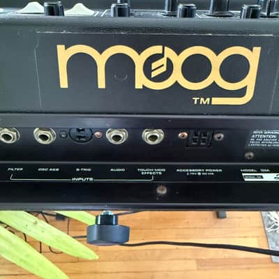 Moog Multimoog 1978 - 1981 - Black image 3