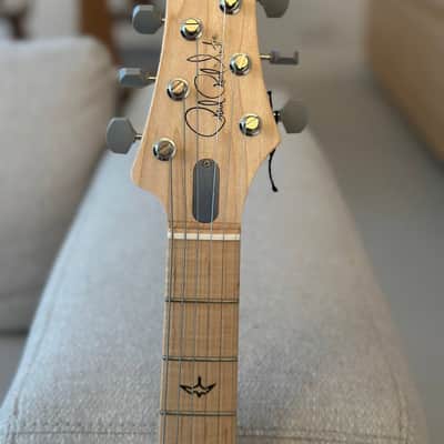 PRS Silver Sky Limited Edition 2021 Lunar Ice image 9