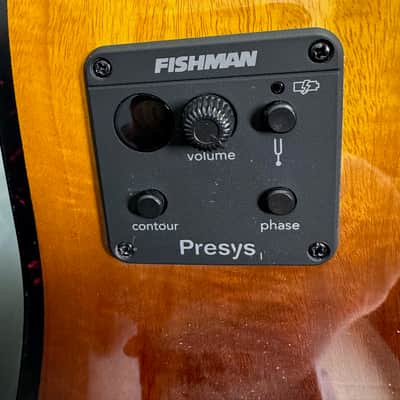 Breedlove Pursuit Exotic S Concert 2022 - Tiger’s Eye image 9
