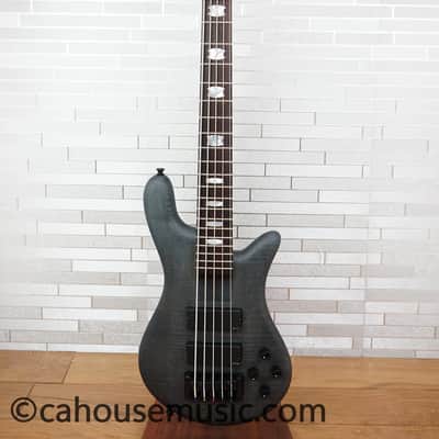 Immagine Spector Euro 5 LX - Trans Black Stain Matte - 16