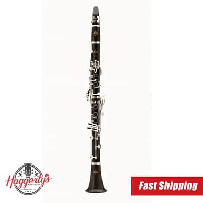 Buffet R13 B 660 Professional Bb Clarinet | Reverb