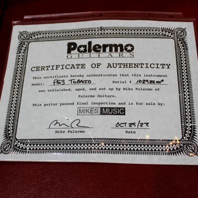 Palermo PG3 Guitar EVH Van Halen Frankenstein Pickup Floyd Rose Tobacco Burst W/ Case NEW image 4