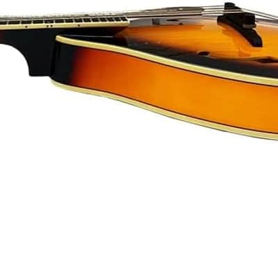 Mandolin Musical Instrument A Style Acoustic Mandolin Instrument Kit 8 String for Beginners Adults with Carrying Case Extra Strings Picks Cleaning Cloth image 3