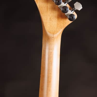 Immagine Washburn A5 1983 - Custom paint - 6