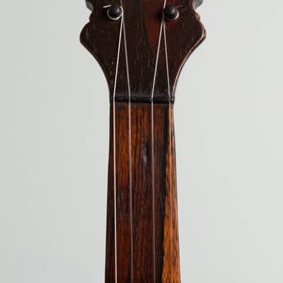 H.E. Bailey  5 String Fretless Banjo (1881), original brown coffin case. image 5