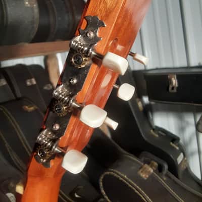 Vintage El Degas Classical Acoustic Guitar Model F4C MIJ image 18