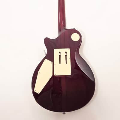 AL-3200MCC-P Agile Special Edition Signature Guitar w/Floyd Rose Chris Poland Lemon Burst image 2