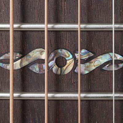 Ovation CS24P-BLFL Celebrity Traditional Plus Mid-depth Lyrachord Body Nato Neck 6-String Acoustic-Electric Guitar w/Gig Bag image 12