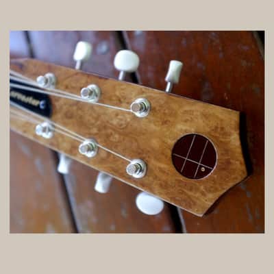 Harvester Guitars Lupine Short Scale Ser # 114 New/ 2020 Aged Pelham Blue (Authorized Dealer) image 18