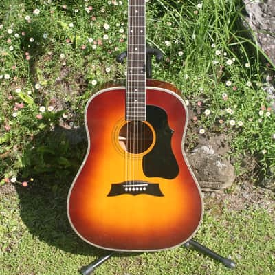 MADE IN 1978 MORRIS W60 - ABSOLUTELY TERRIFIC MARTIN D35 STYLE