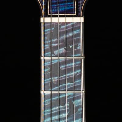 PRS Private Stock 10800 Hollowbody II Piezo Birds of a Feather Aqua Violet Glow (319) image 5
