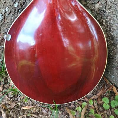 Gibson A-3 Mandolin image 15