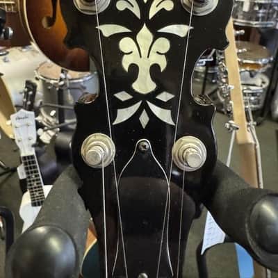 Deering Tenbrooks 5 String Banjo image 2