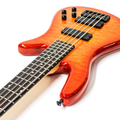 Spector Q5 Pro 5 String Electric Bass Signed by Stuart Spector With Case image 7