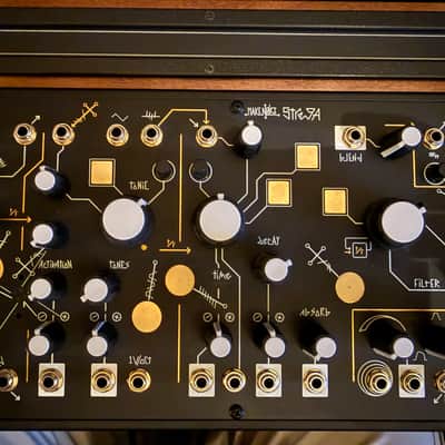 Make Noise Strega Module | Reverb