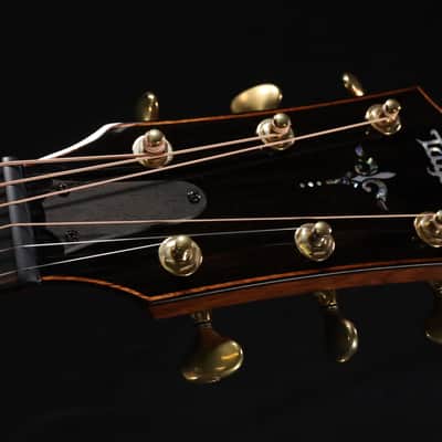 Taylor Builder's Edition 914ce LTD Macassar 039 image 4