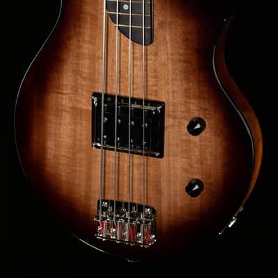 Rick Turner Model T Bass Anigre Top Bass Guitar-5623-8.50 lbs image 1