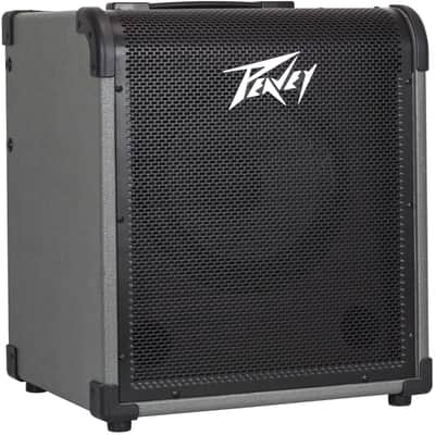 Peavey MAX 100 100-Watt Bass Amp Combo image 4