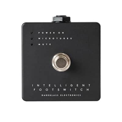 Darkglass Electronics Microtubes X-900 V2 Bass Amplifier image 13