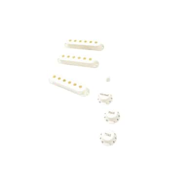 Fender® Pure Vintage '60s Stratocaster® Accessory Kit image 1