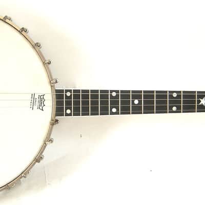 1925 Vega Tu-Ba-Phone Style M 4-String Tenor Banjo with Original Case image 1