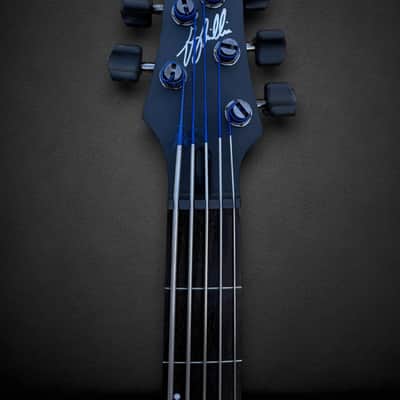 Ibanez GWB 35 Gary Willis Signature Fretless 5 2010s - Matte Black image 6