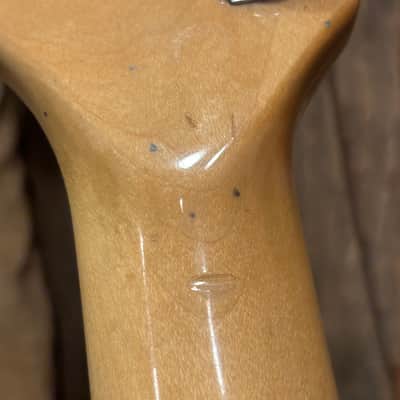 Fender Stratocaster Hardtail with Maple Fretboard 1979 - Wine image 14