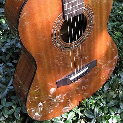 Zager Easy Play USA Parlor Acoustic Mahogany image 1